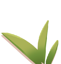 Seagrass